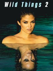 Wild Things 2