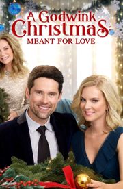 A Godwink Christmas: Meant For Love
