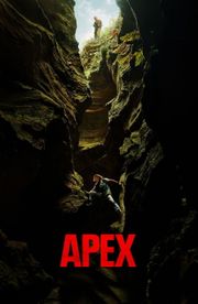 Apex
