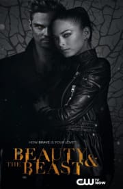 Beauty And The Beast - Season 3
