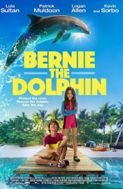 Bernie The Dolphin