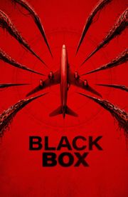 Black Box (Flight 298)