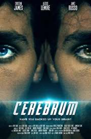 Cerebrum