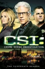 CSI - Season 11