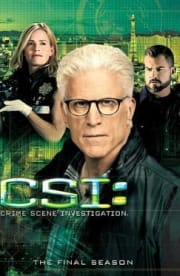CSI - Season 15