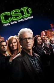 CSI - Season 9