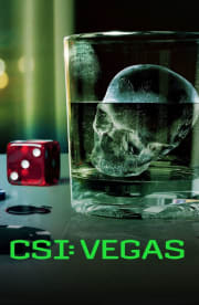 CSI: Vegas - Season 3