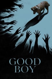 Good Boy Good Boy