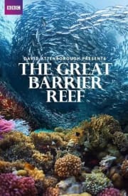 Great Barrier Reef with David Attenborough - Season 01