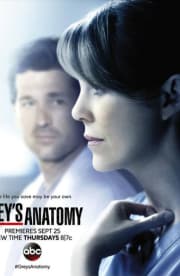 Greys Anatomy - Season 11