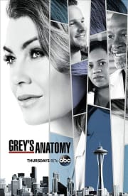 Greys Anatomy - Season 15