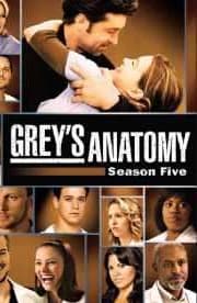 Greys Anatomy - Season 5