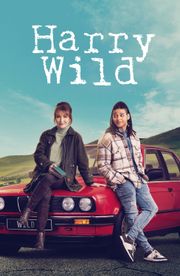 Harry Wild - Season 4