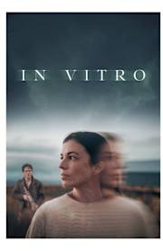 In Vitro