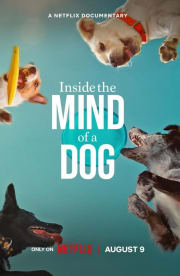 Inside the Mind of a Dog