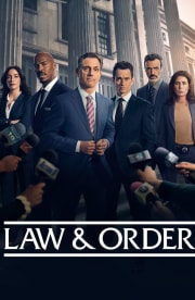 Law & Order - Season 25