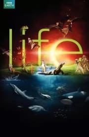 Life (2009) - Season 01