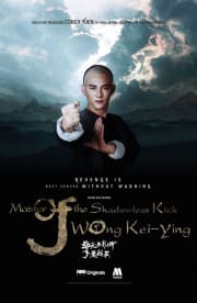 Master Of The Shadowless Kick: Wong Kei-Ying