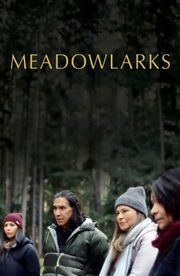 Meadowlarks