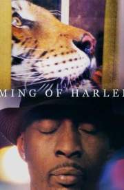 Ming of Harlem: Twenty One Storeys in the Air