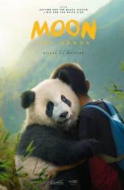Moon The Panda Moon The Panda