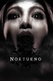 Nokturno