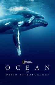 Ocean with David Attenborough Ocean with David Attenborough