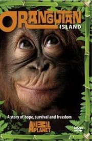 Orangutan Island - Season 1