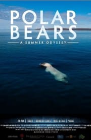 Polar Bears: A Summer Odyssey