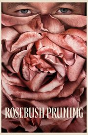 Rosebush Pruning
