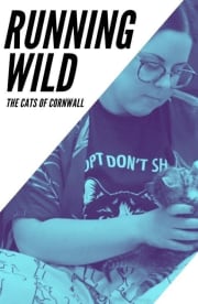 Running Wild: The Cats of Cornwall