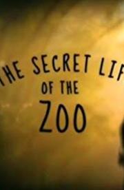 Secret Life of the Zoo - Season 6