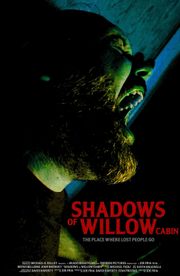 Shadows of Willow Cabin