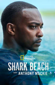 Shark Beach with Anthony Mackie