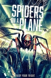 Spiders on a Plane Spiders on a Plane