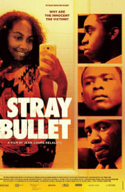 Stray Bullet