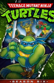 Teenage Mutant Ninja Turtles - Season 9