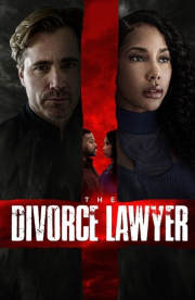 The Divorce Lawyer The Divorce Lawyer