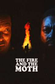 The Fire And The Moth