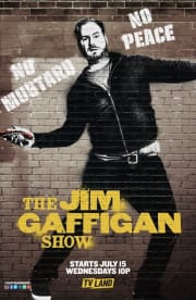 The Jim Gaffigan Show - Season 1
