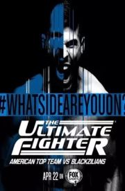 The Ultimate Fighter - Season 21