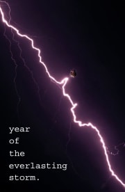 The Year of the Everlasting Storm