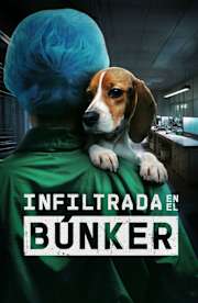 Undercover Inside the Bunker Undercover Inside the Bunker