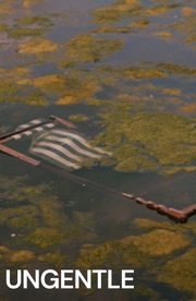 Ungentle