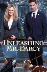 Unleashing Mr Darcy