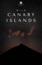 Wild Canary Islands Wild Canary Islands