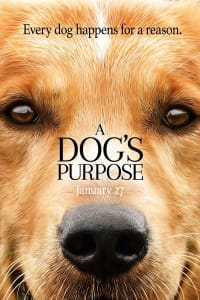 A Dog's Purpose