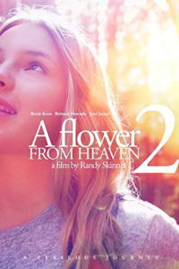 A Flower From Heaven 2