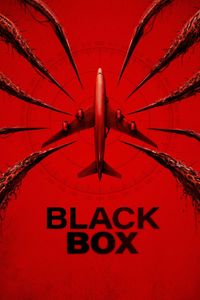 Black Box (Flight 298)