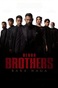 Blood Brothers: Dragon's Embers